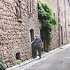 laitman_2009-07_0181_70[1]